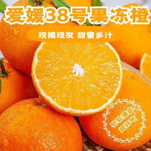 爱媛38号果冻橙8斤精品大果 四川眉山原产地 新鲜水果现摘现发