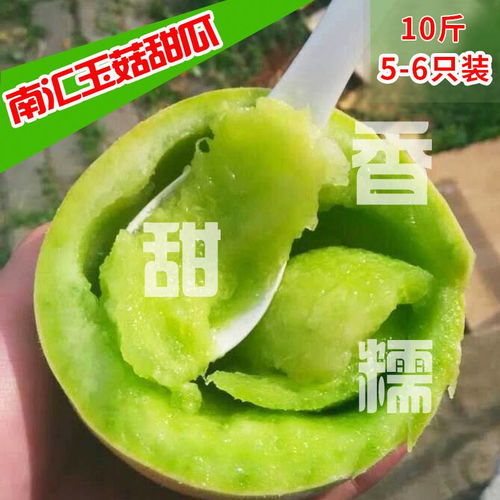 只做精品现摘上海南汇玉菇甜瓜水果新鲜香瓜应季绿哈密瓜蜜瓜2 5 10斤